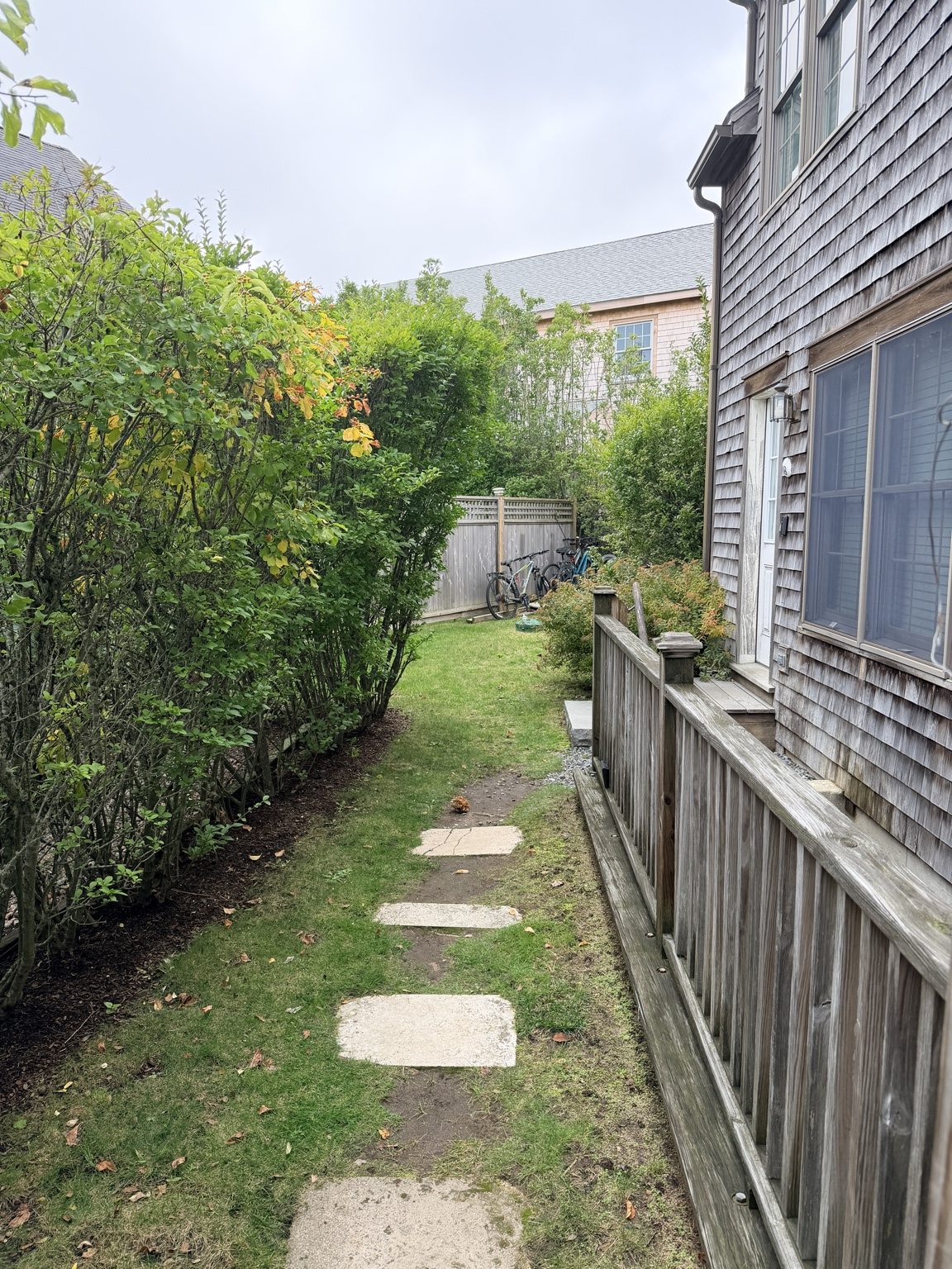 Side garden and walkway